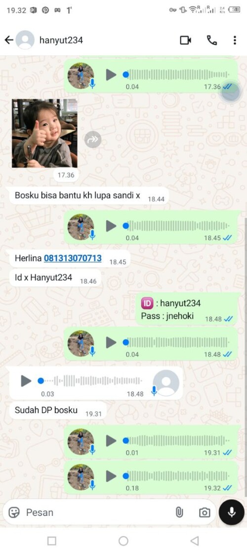 hanyut234