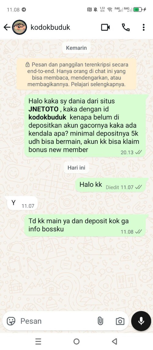 kodokbuduk