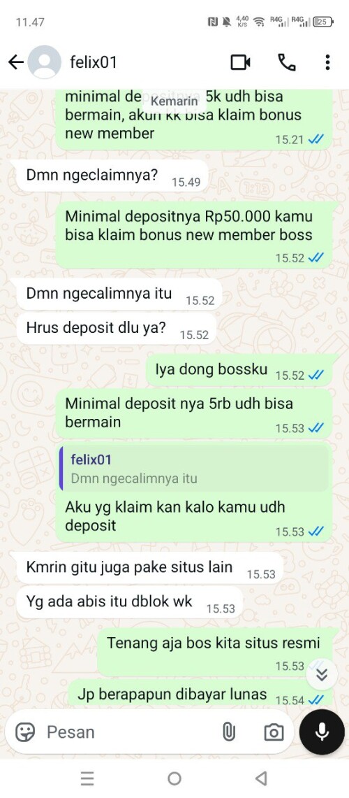 felix01