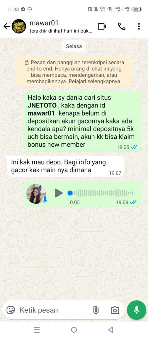 mawar01