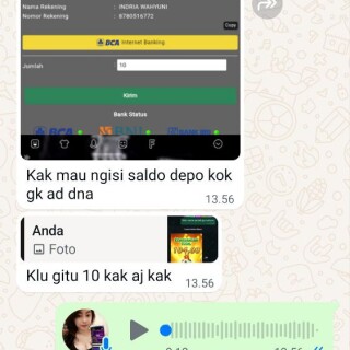 ridhobot