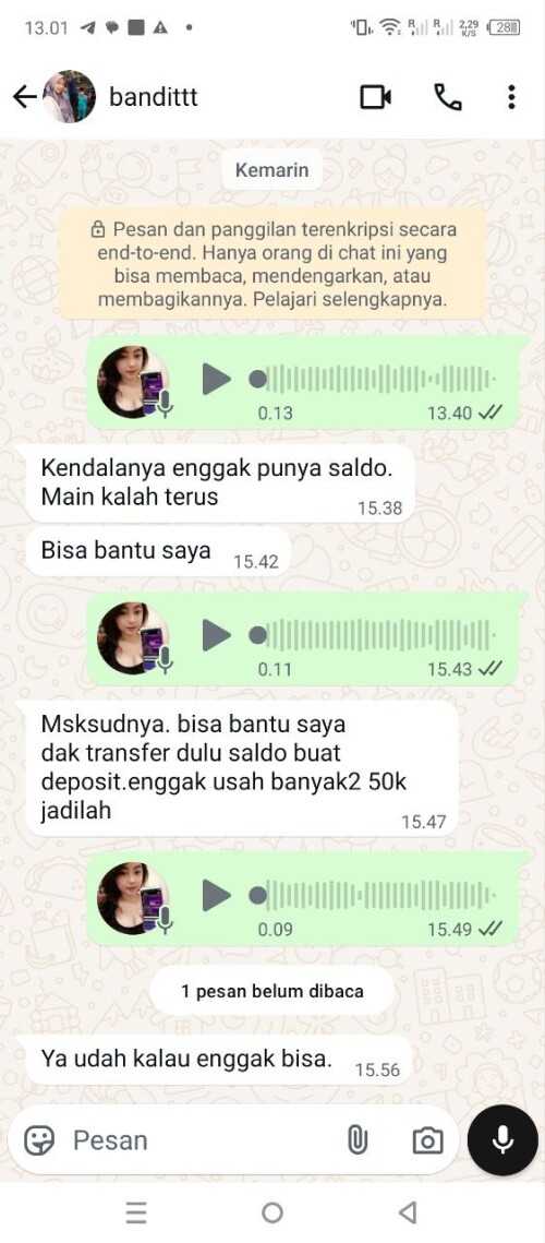 bandittt.jpeg