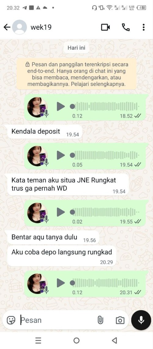 wek19.jpeg