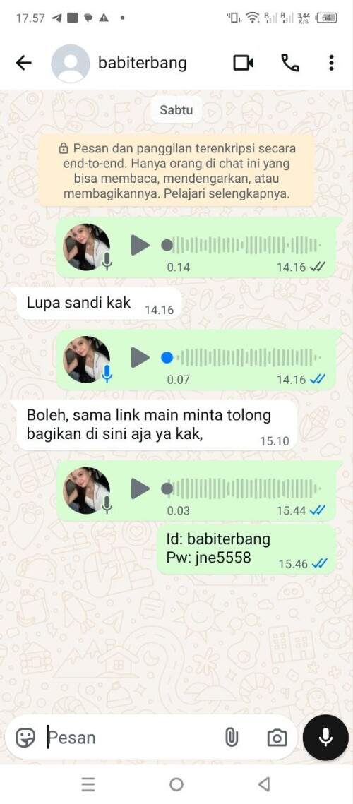babiterbang.jpeg