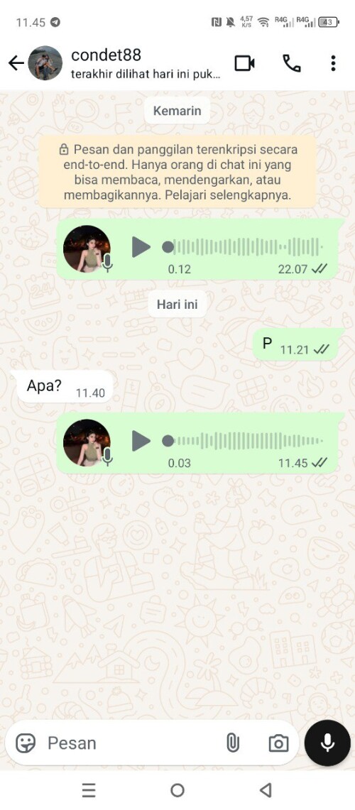 condet88.jpeg