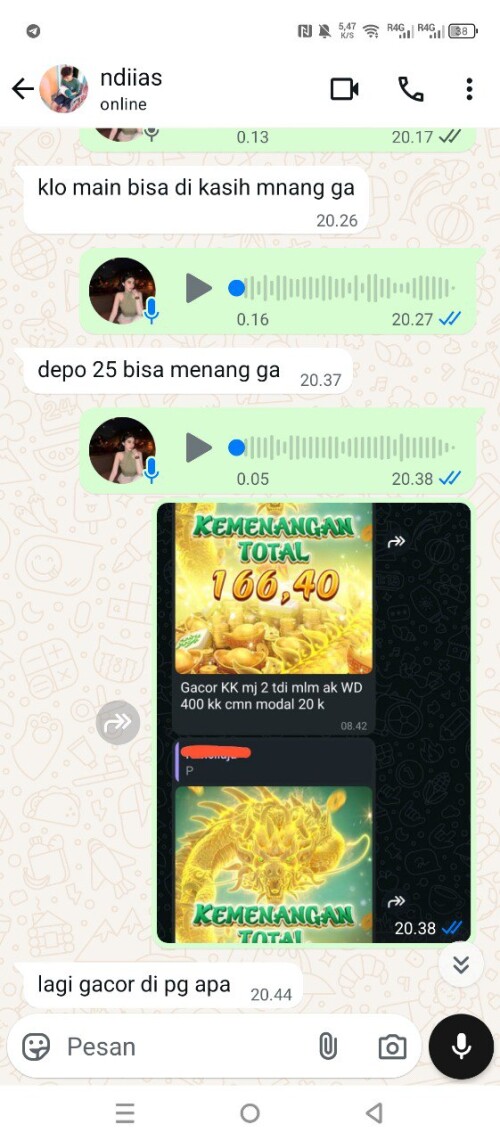ndiias.jpeg