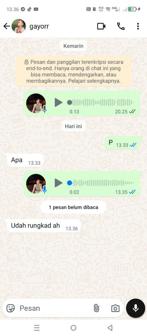 gayorr.jpeg