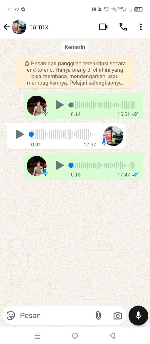 tarmx.jpeg