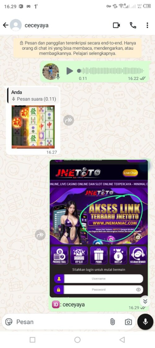 ceceyaya.jpeg