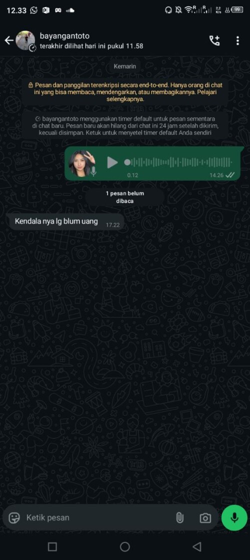 bayangantoto.jpeg