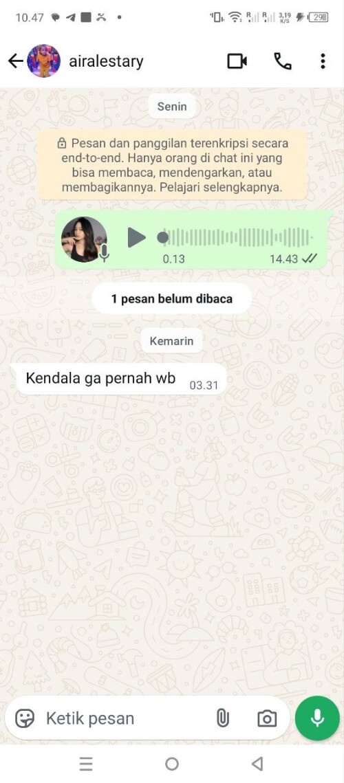 airalestary.jpeg