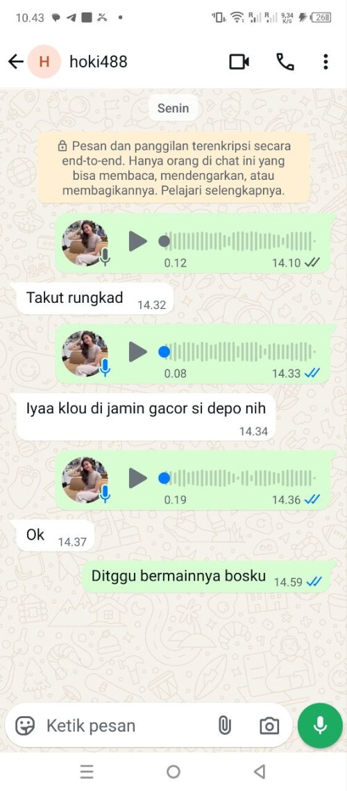 hoki488.jpeg
