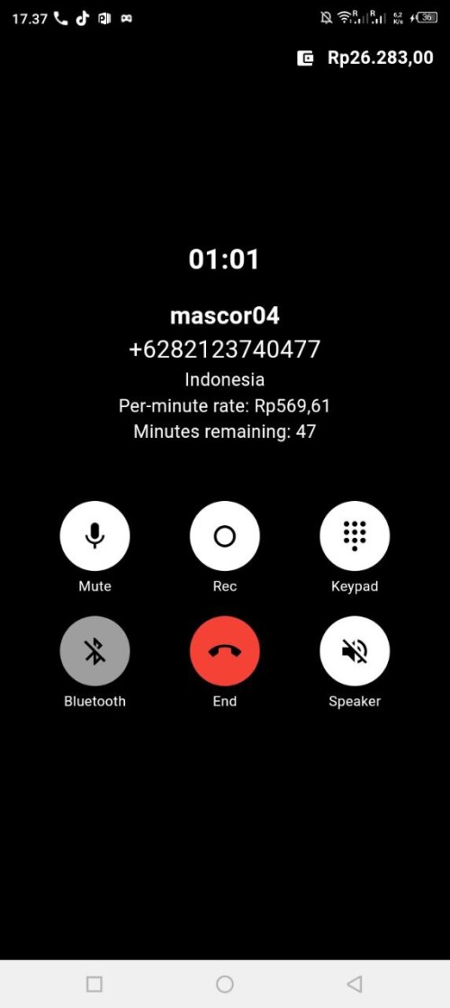 mascor04.jpeg