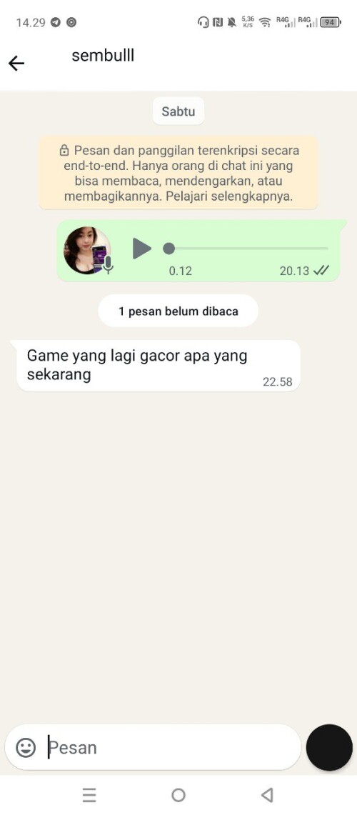 sembulll.jpeg