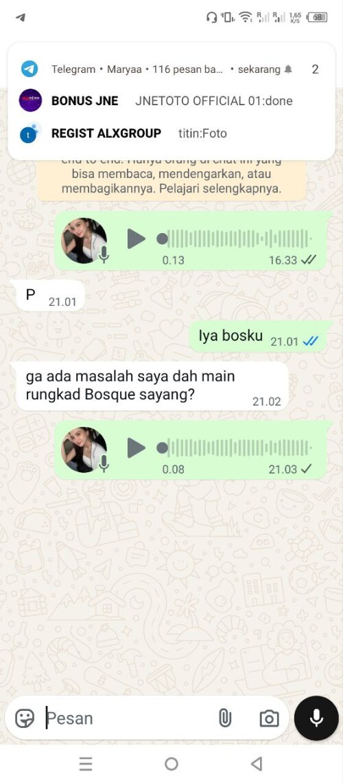 parmanmaxwin.jpeg