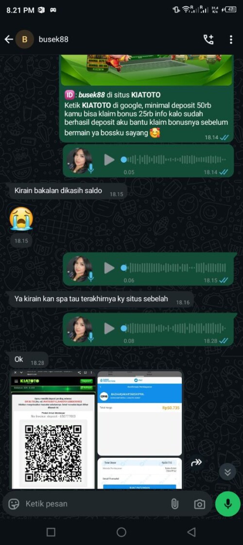 busek88.jpeg