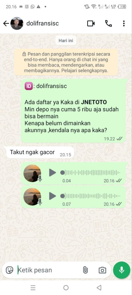 dolifransisc.jpeg