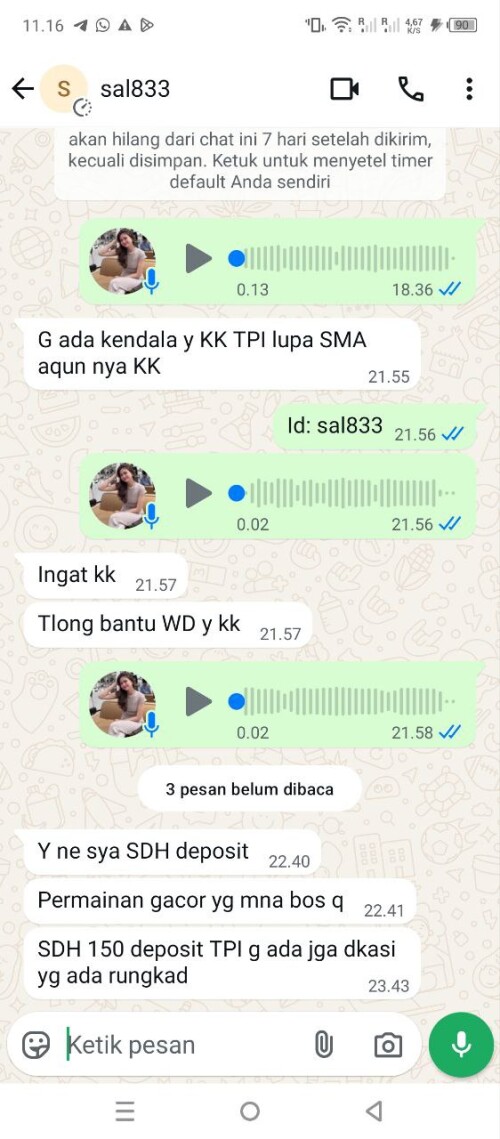 sal833.jpeg