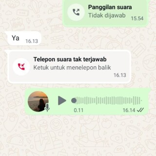 tedi111