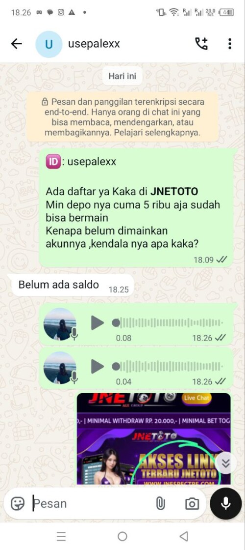 usepalexx.jpeg