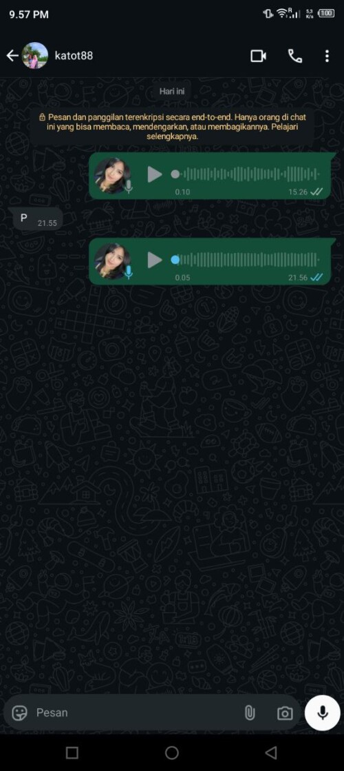 katot88.jpeg