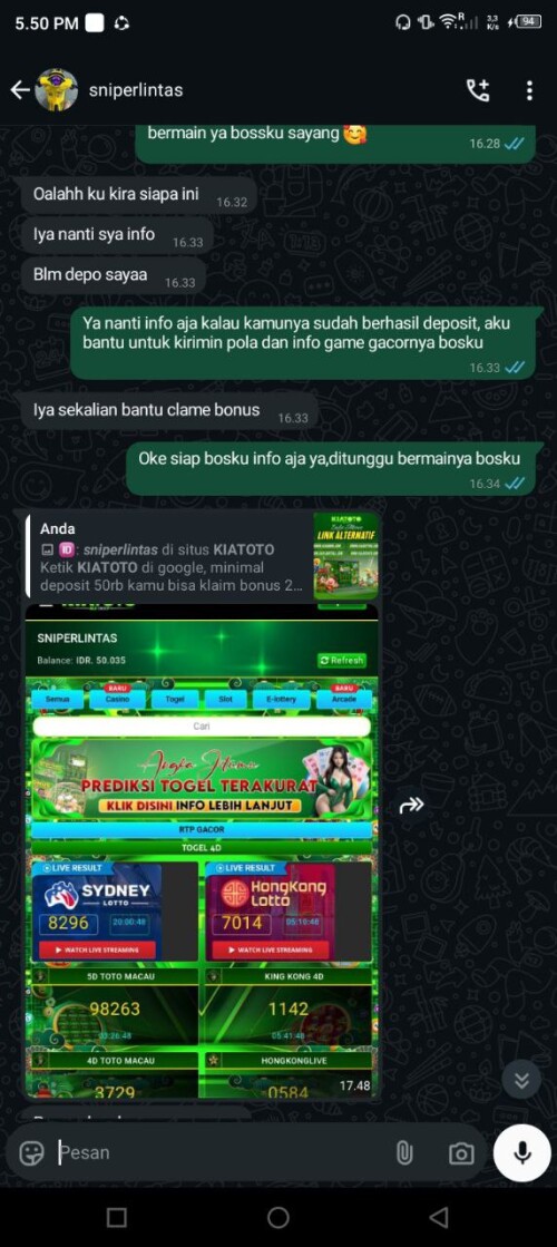 sniperlintas.jpeg