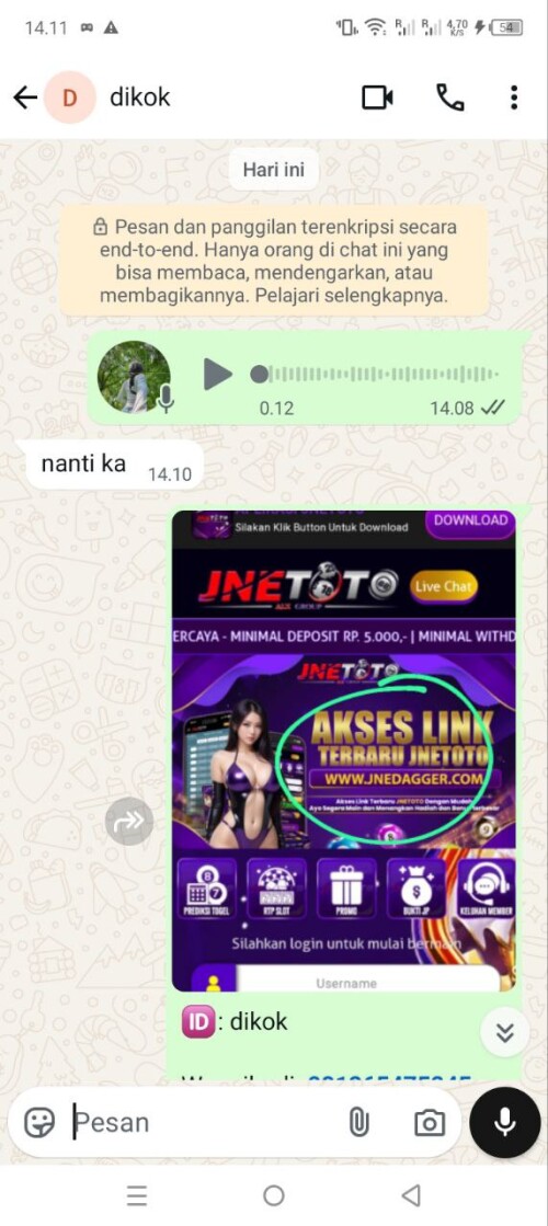 dikok.jpeg