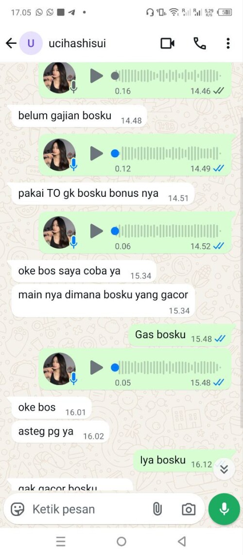 ucihashisui.jpeg