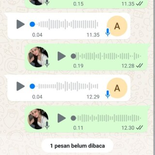 aloyy135