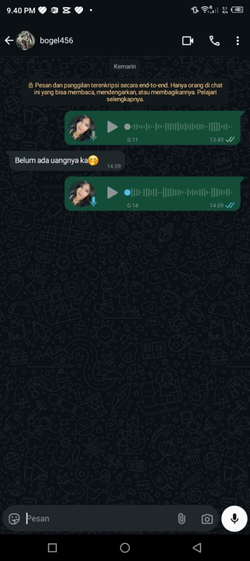 bogel456.jpeg