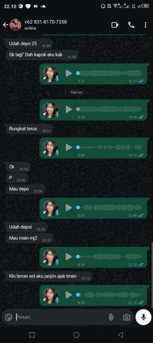 dewi22.jpeg