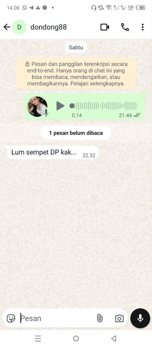 dondong88.jpeg