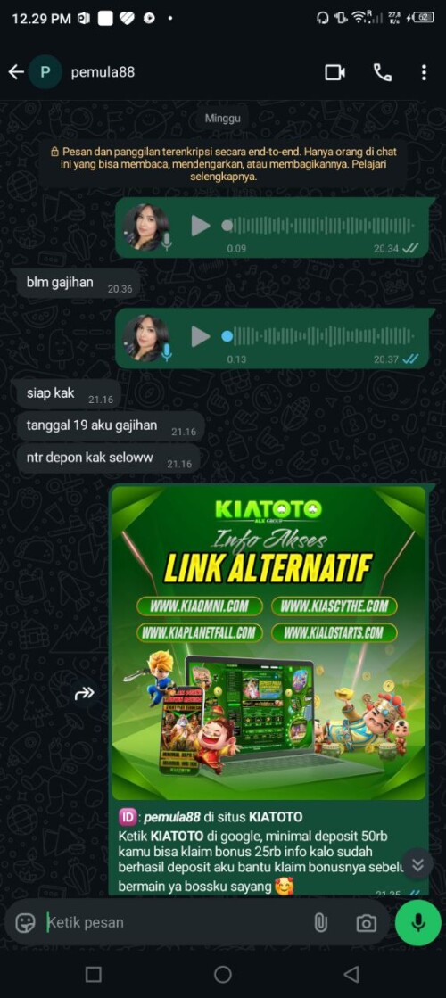 pemula88.jpeg