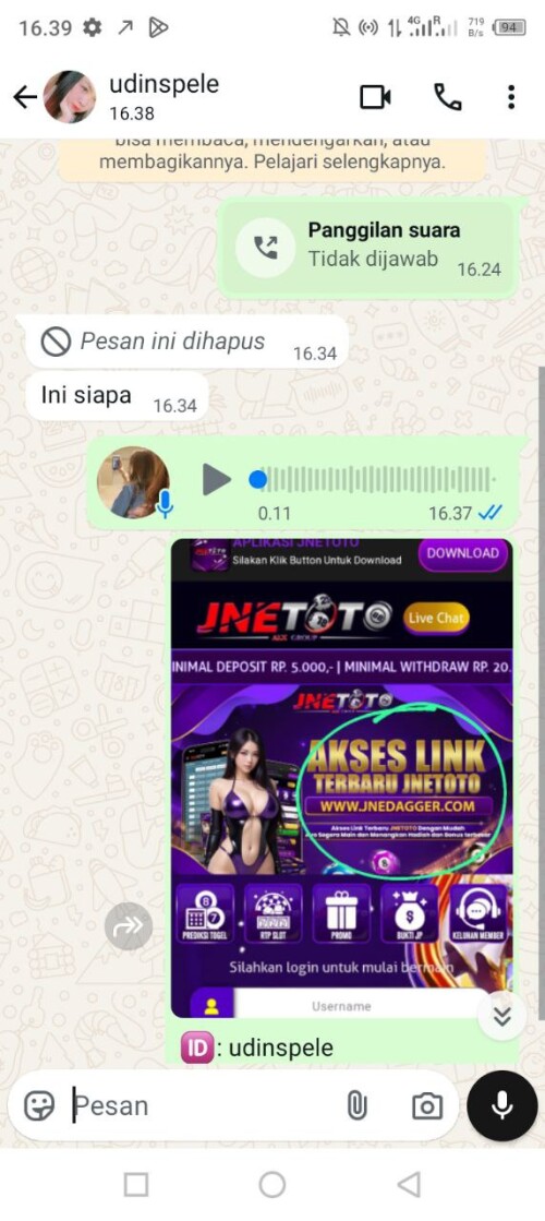 udinspele.jpeg