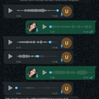 ulfa11223344