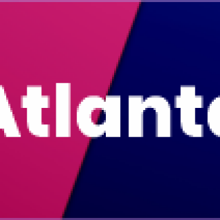 atlanta-panel