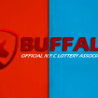buffalo-panel