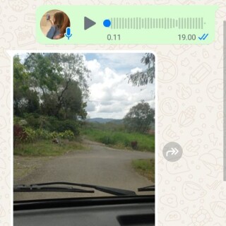 dikasyng