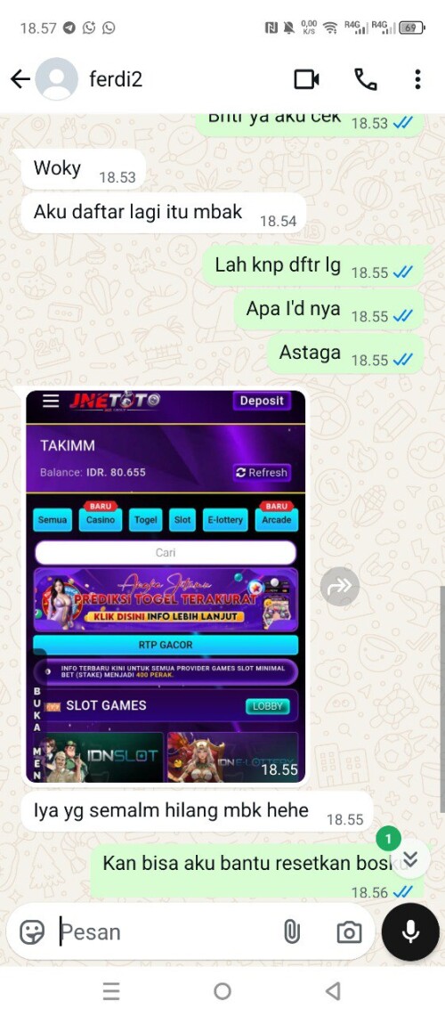 ferdi2.jpeg