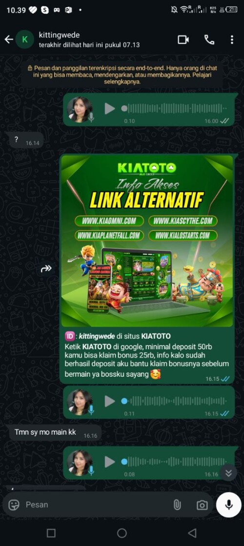 kittingwede.jpeg