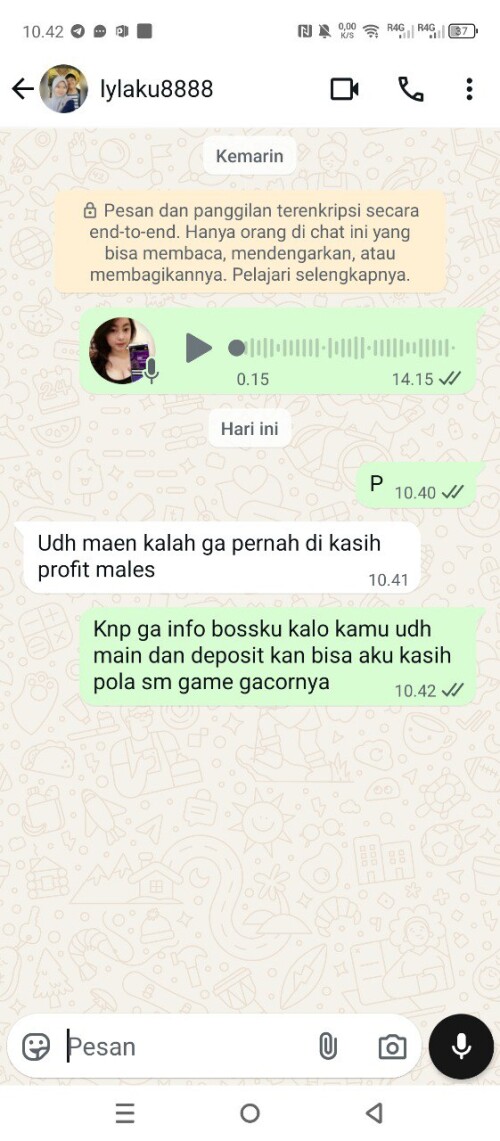 lylaku8888.jpeg