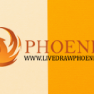 phoenix-panel