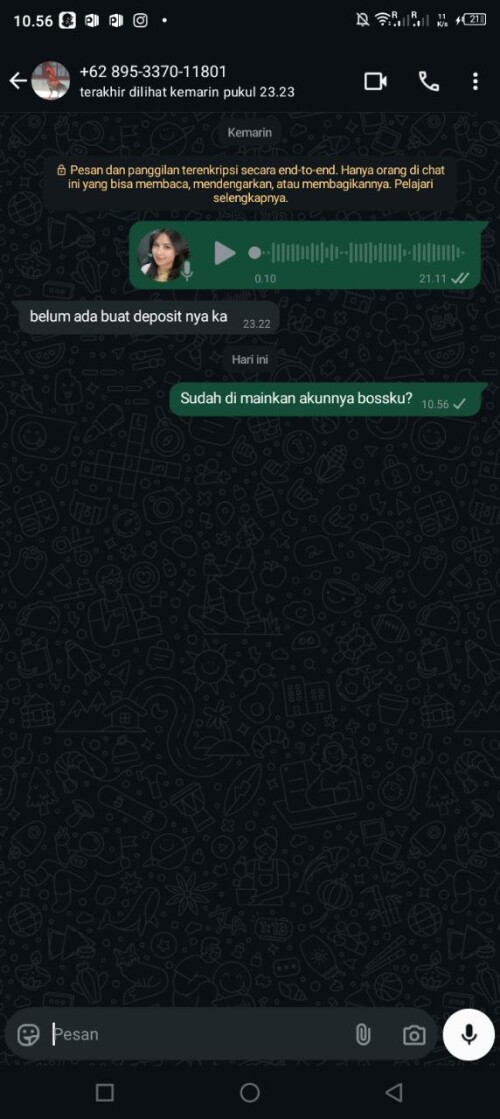 giblur.jpeg