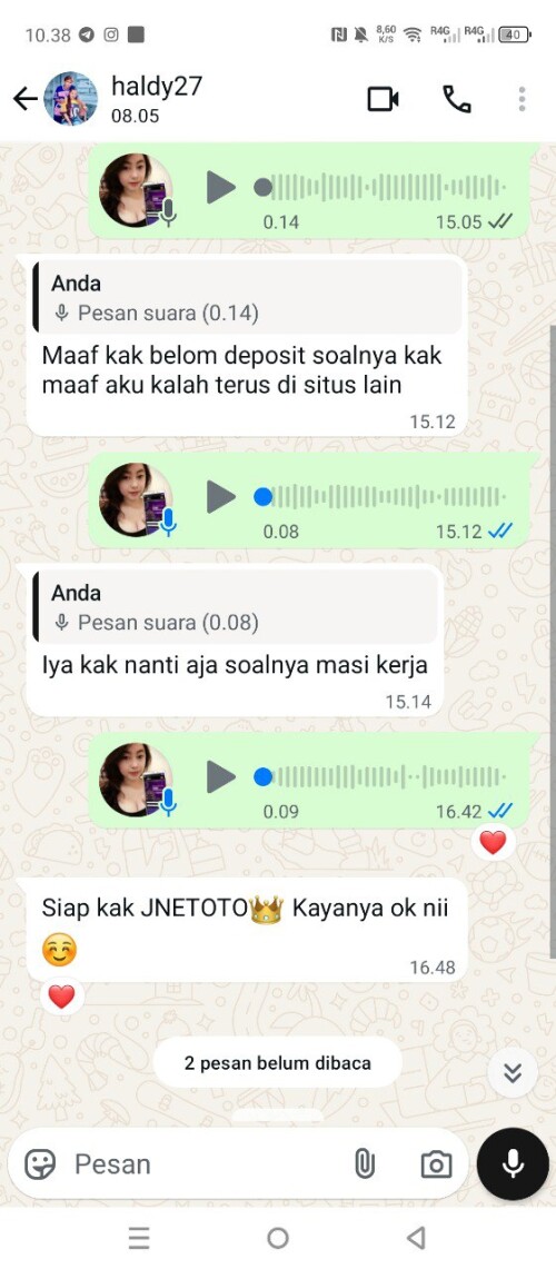 haldy27.jpeg