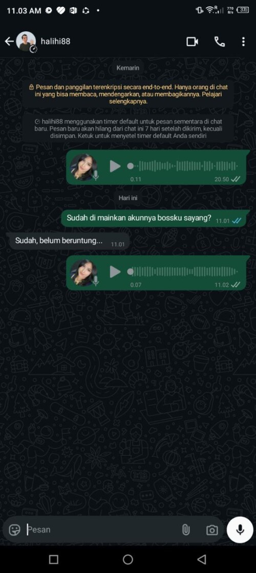 halihi88.jpeg