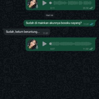 halihi88