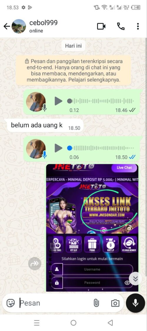 cebol999.jpeg