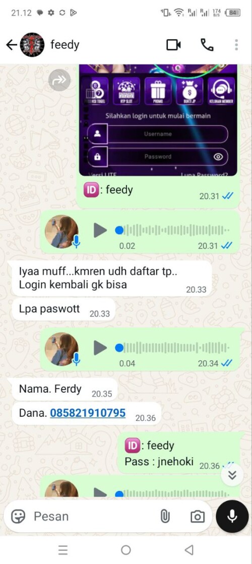 feedy.jpeg