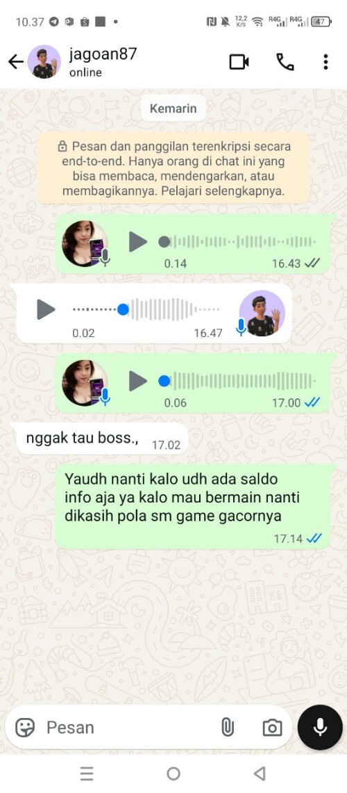 jagoan87.jpeg