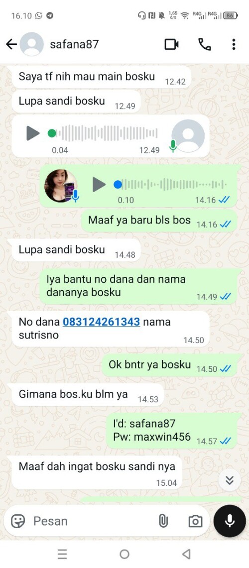 safana87.jpeg